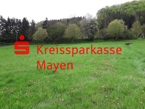 Foto - Grundstück zu verkaufen in Immerath 40.000,00 € 1399 m²