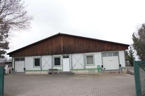 Foto - Halle in Thale Westerhausen 225.000,00 € 119 m²