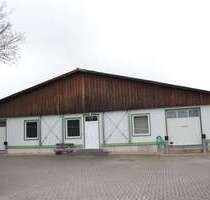 Halle in Thale Westerhausen 225.000,00 € 119 m² - Thale / Westerhausen