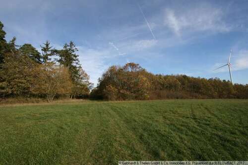Foto - Grundstück in St. Bernhard 245.000,00 € 92930 m²