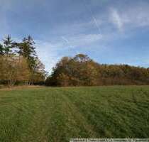 Grundstück in St. Bernhard 245.000,00 € 92930 m²