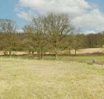 Grundstück zu verkaufen in Steinhagen, Westfalen 350.000,00 € 1940 m²