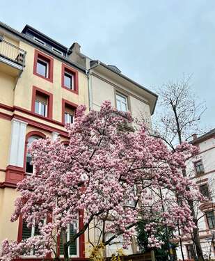 Foto - Haus zum Kaufen in Darmstadt 1.900.000,00 € 523 m²