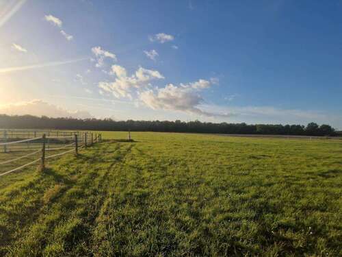 Foto - Spezialgewerbe in Dallgow-Döberitz 160.000,00 € 21930 m²