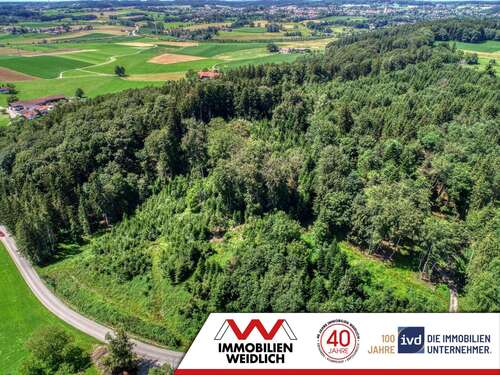 Foto - Grundstück in Grafing 298.000,00 € 36760 m²