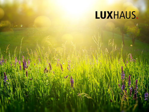 Foto - Grundstück zu verkaufen in Bad Dürkheim 256.000,00 € 624 m²