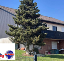 Haus zum Kaufen in Feldatal-Ermenrod 219.000,00 € 196 m²