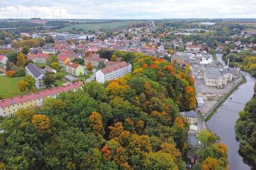 Foto - Grundstück zu verkaufen in Penig 49.000,00 € 16290 m²