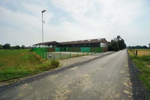 Foto - Halle in Wachtendonk 2.400,00 € 1141 m²