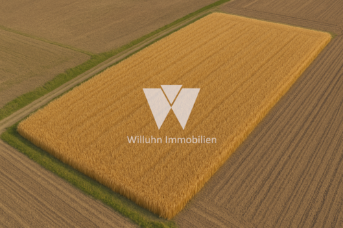 Foto - Grundstück in Wiedemar 300.000,00 € 192622 m²