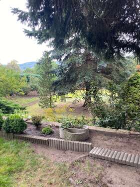 Foto - Haus zum Kaufen in Coswig 280.000,00 € 175 m²