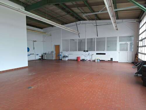 Foto - Halle in Greifswald 950,00 € 150 m²