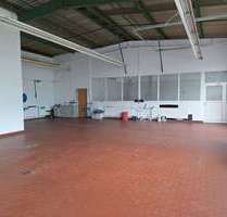 Halle in Greifswald 950,00 € 150 m²
