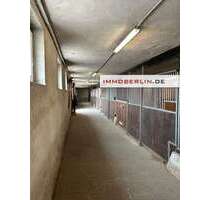 Grundstück zu verkaufen in Kloster Lehnin 499.000,00 € 6300 m²