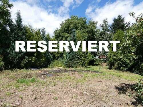 Foto - Grundstück zu verkaufen in Hohenfels 65.000,00 € 979 m²
