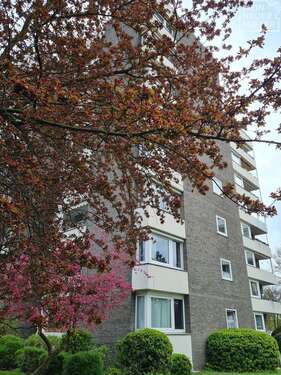 Foto - Wohnung zum Mieten in Osnabrück 780,00 € 79.68 m²