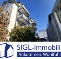 Haus zum Kaufen in Laupheim 3.000.000,00 € 794.97 m²