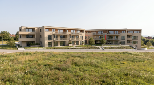 Foto - Wohnung zum Kaufen in Langenau 539.000,00 € 109 m²