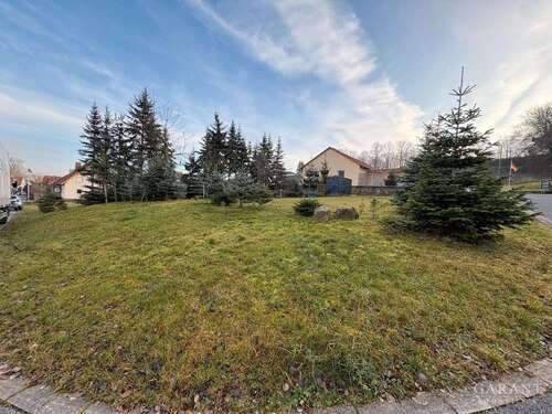 Foto - Grundstück zu verkaufen in Lichtenfels-Trieb 110.000,00 € 792 m²