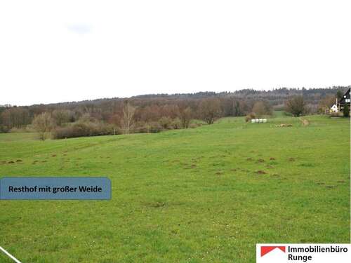 Foto - Haus zum Kaufen in Auetal 365.000,00 € 350 m²