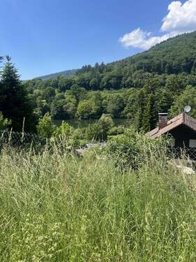 Foto - Grundstück zu verkaufen in Neckargemünd 700.000,00 € 4000 m²
