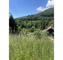 Grundstück zu verkaufen in Neckargemünd 700.000,00 € 4000 m²