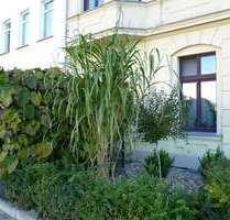 Wohnung zum Kaufen in Magdeburg 155.000,00 € 109.04 m²