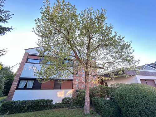 Foto - Haus zum Kaufen in Warburg 399.000,00 € 267 m²