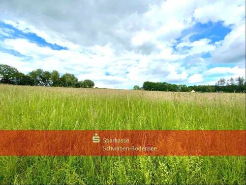 Foto - Grundstück in Apfeltrach 82.000,00 € 13520 m²