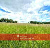 Grundstück in Apfeltrach 82.000,00 € 13520 m²