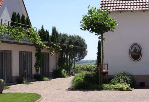 Foto - Wohnen auf Zeit in Wachenheim an der Weinstraße 800,00 €