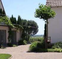 Wohnen auf Zeit in Wachenheim an der Weinstraße 800,00 €