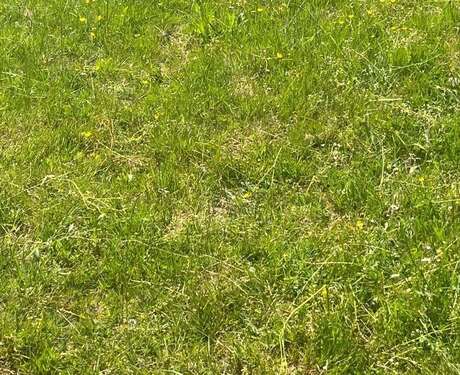 Foto - Grundstück in Feldatal 48.450,00 € 9690 m²