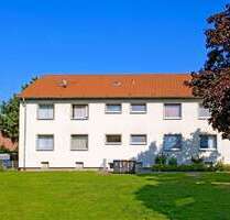 Wohnung zum Mieten in Ahlen 409,00 € 45 m²