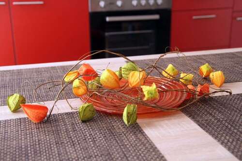 Foto - Wohnen auf Zeit in Wiesbaden 1.275,00 €