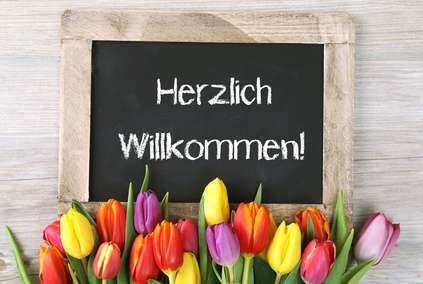 Foto - Wohnung zum Mieten in Datteln 304,00 € 32 m²