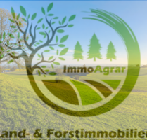 Grundstück zu verkaufen in Lützelburg 463.638,00 € 1162 m²
