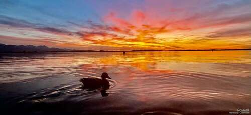 Foto - Wohnung zum Kaufen in Prien am Chiemsee 1.632.000,00 € 166 m²