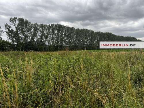 Foto - Grundstück in Liebenwalde 160.000,00 € 53000 m²