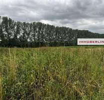 Grundstück in Liebenwalde 160.000,00 € 53000 m²