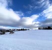 Wohnung zum Kaufen in Braunlage 56.000,00 € 34 m²