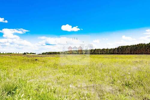 Foto - Grundstück in Jessen (Elster) 110.000,00 € 3721 m²