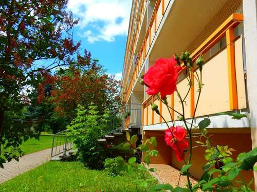 Foto - Wohnung zum Mieten in Görlitz 420,00 € 70.39 m²
