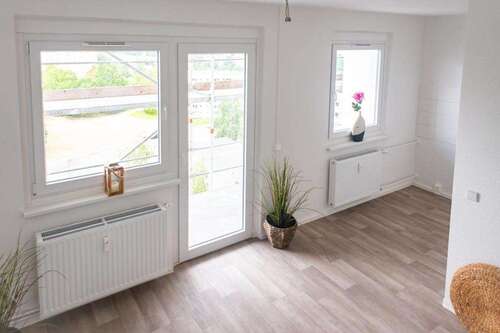 Foto - Wohnung zum Mieten in Chemnitz 229,00 € 36.12 m²