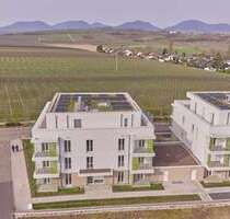 Wohnung zum Mieten in Landau 1.300,00 € 107.84 m²