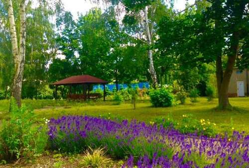 Foto - Wohnung zum Mieten in Eilenburg 330,00 € 23 m²