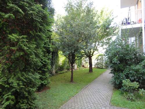 Foto - Wohnung zum Mieten in Zwickau 247,00 € 58 m²