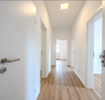 Wohnung zum Mieten in Offenbach 1.200,00 € 55 m²