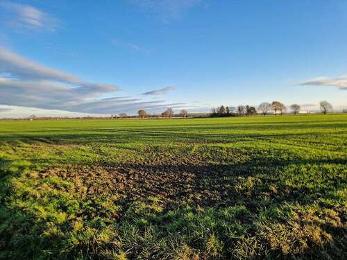 Foto - Grundstück in Werl 648.550,00 € 54046 m²