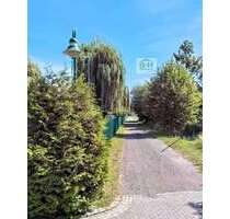 Grundstück zu verkaufen in Bitterfeld 39.900,00 € 3700 m²
